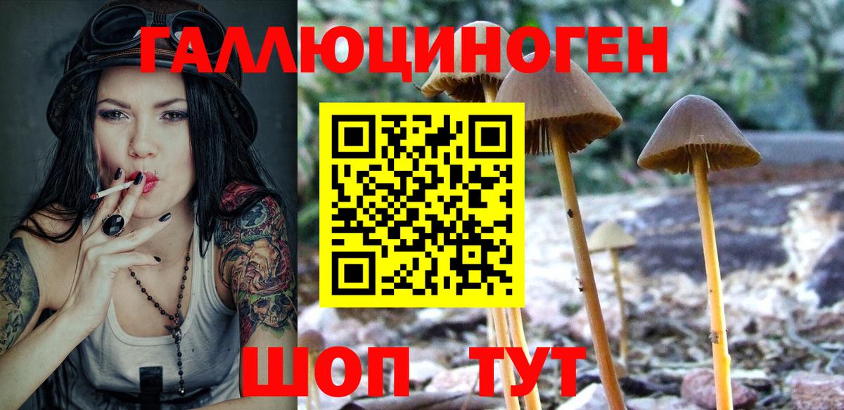 Галлюциногенные грибы мицелий Чернушка